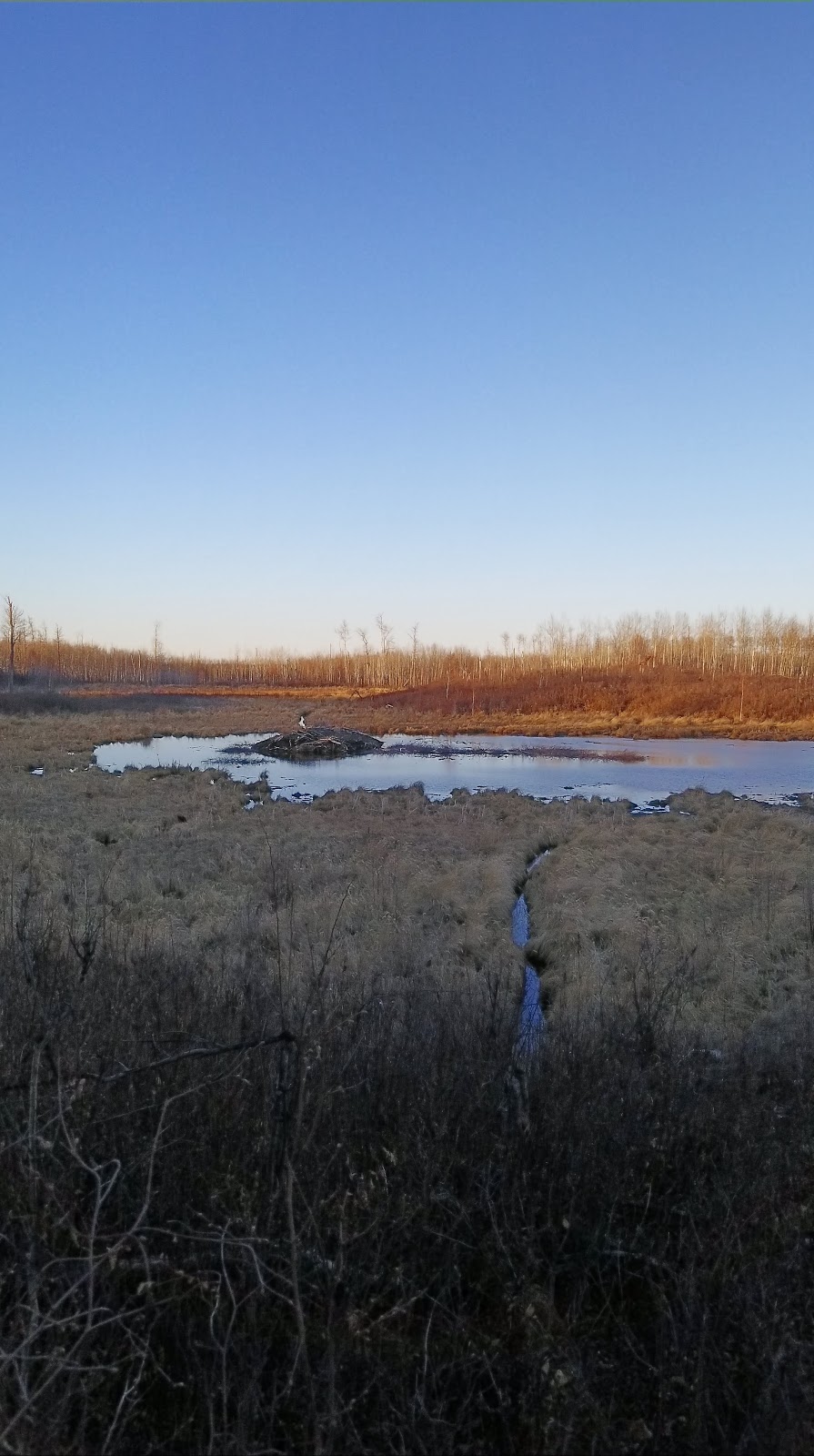 Cooking Lake-Blackfoot Provincial Recreation Area | Beaver County, AB T8G 1G2, Canada