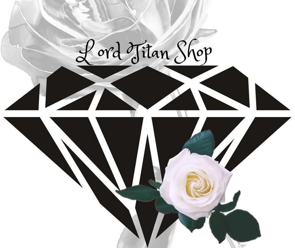 Lord Titan Shop Bijouterie en ligne | 311 Rang St Pierre, Hébertville-Station, QC G0W 1T0, Canada | Phone: (418) 321-5170