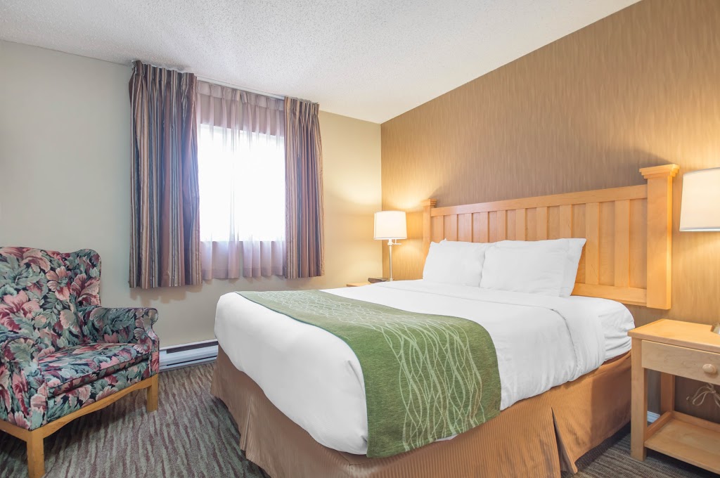 Econo Lodge Inn & Suites | 1748 Capilano Rd, North Vancouver, BC V7P 3B4, Canada | Phone: (604) 988-3181