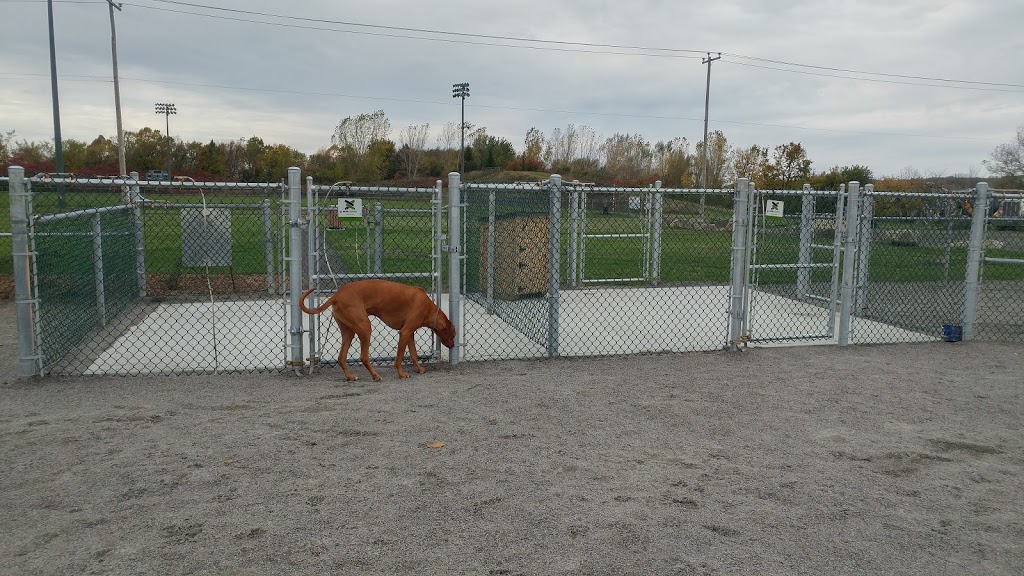 Canine Park Lausanne Park | Rue de Lausanne, Laval, QC H7K 3P7, Canada | Phone: (450) 662-4906