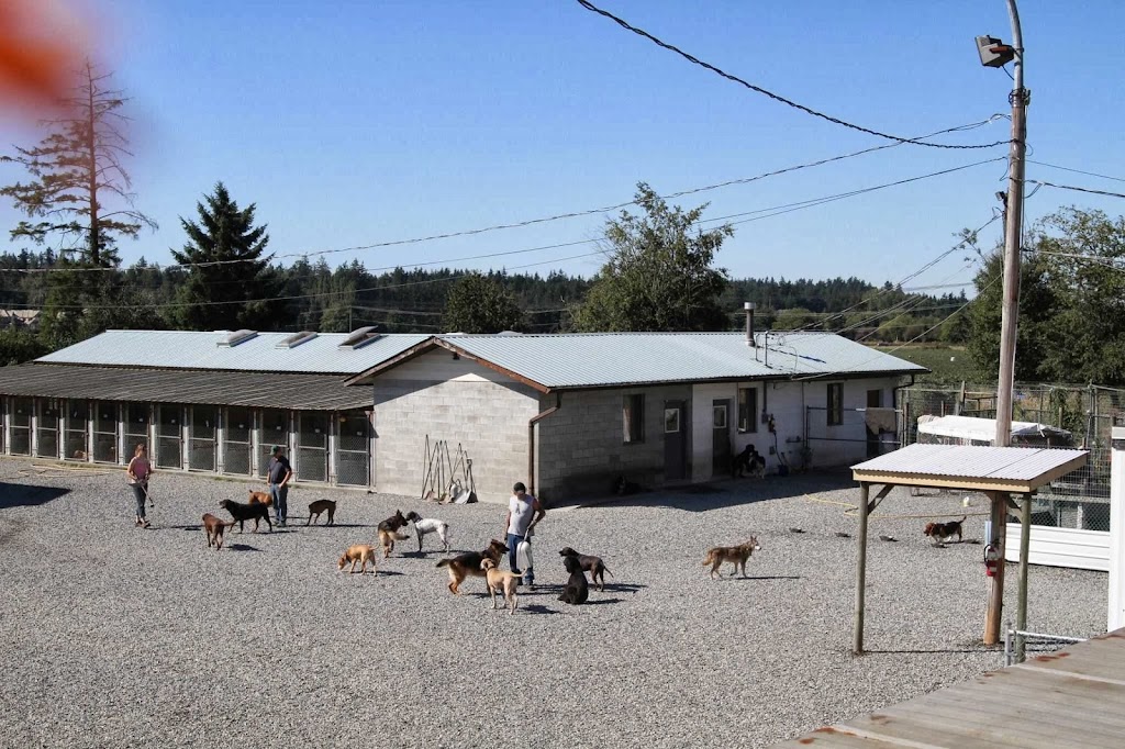 Willchris Kennels Ltd | 14824 40 Ave, Surrey, BC V3S 0L2, Canada | Phone: (604) 576-9603