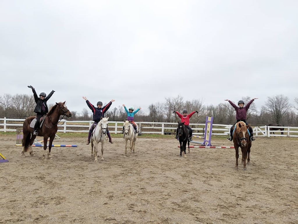 Horseworks | 5160 7 Line, Guelph/Eramosa, ON N0B 2K0, Canada | Phone: (519) 993-0610