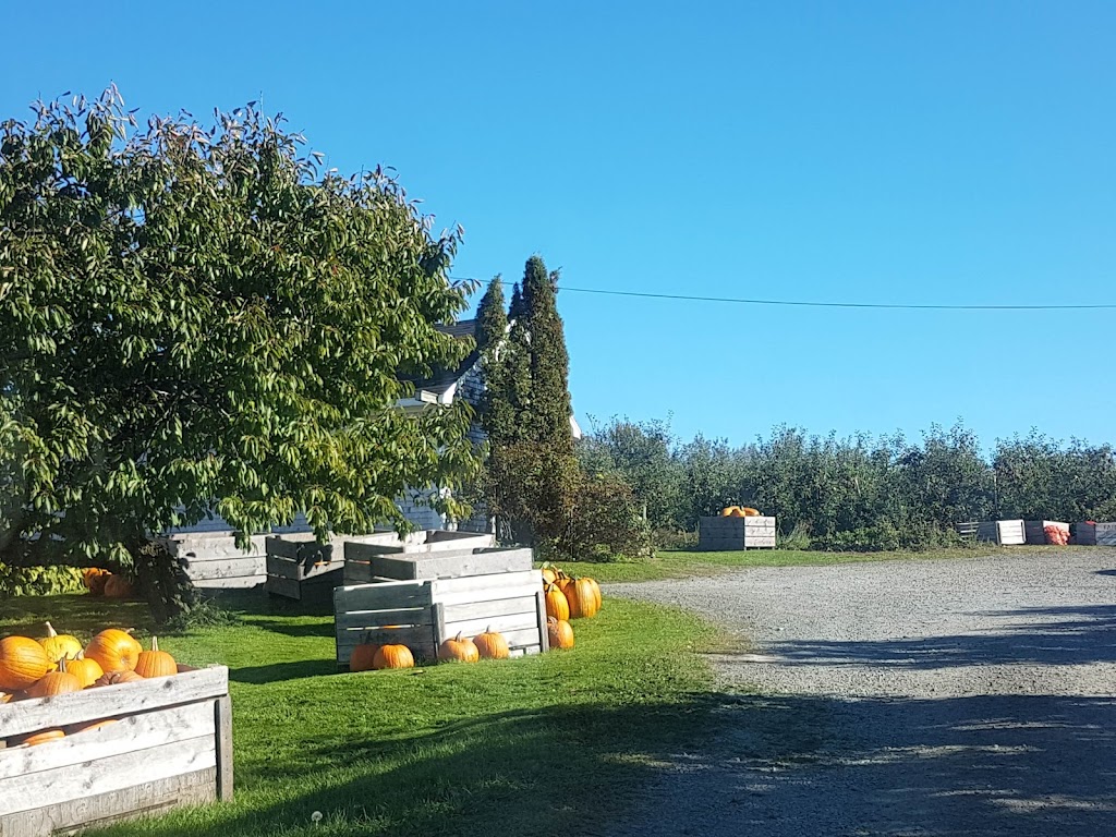 Fairn Orchards | 646 NS-201, Granville Ferry, NS B0S 1K0, Canada | Phone: (902) 532-2946