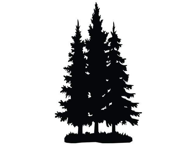 Fraserview Arborist Consulting | Abbotsford, BC V2S, Canada | Phone: (778) 347-9331