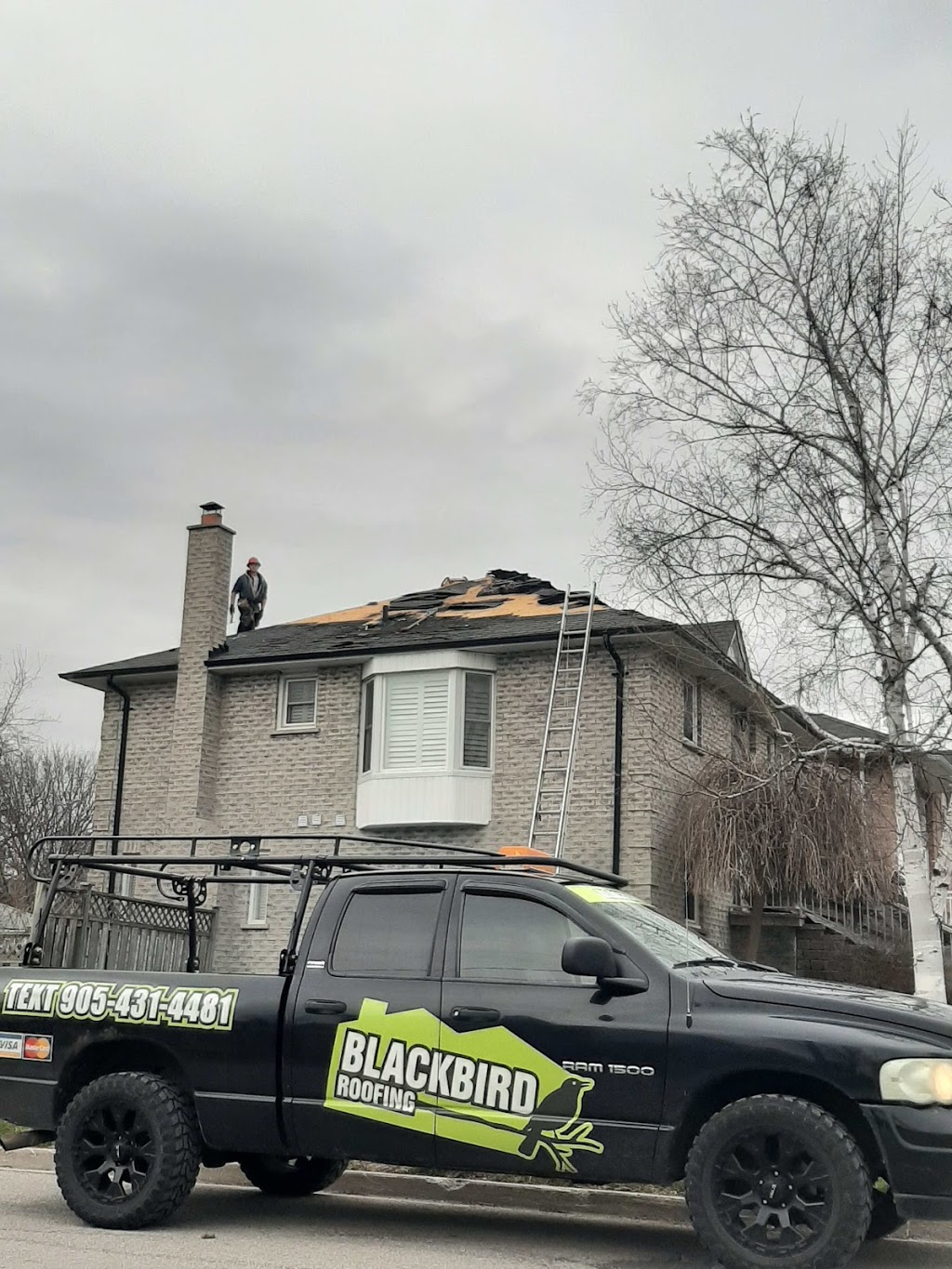 Blackbird Roofing | 485 Tennyson Ct, Oshawa, ON L1K 3K8, Canada | Phone: (905) 431-4481