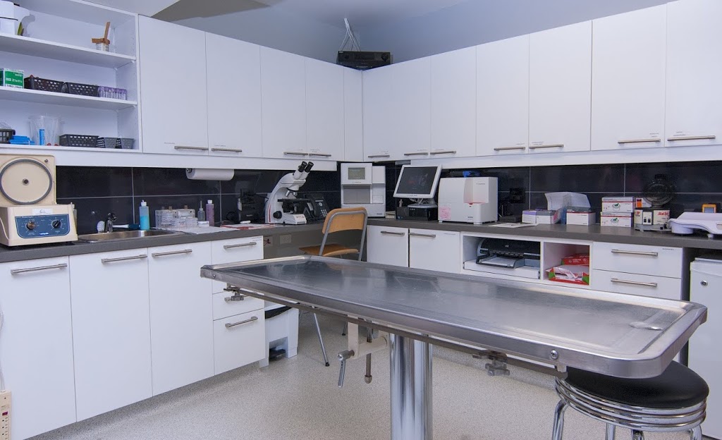 Hôpital Vétérinaire Passionimo Grande Allée | 2707 Chemin Gascon, Mascouche, QC J7L 3X8, Canada | Phone: (450) 968-2141