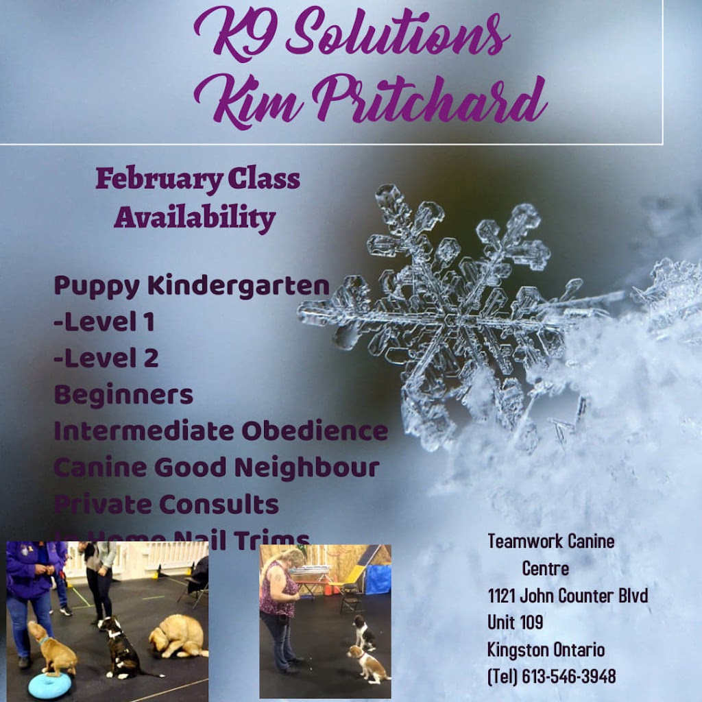 K-9 Solutions Mobile Pet Services | 2254 Sydenham Rd, Elginburg, ON K0H 1M0, Canada | Phone: (613) 546-3948