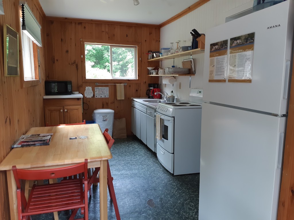 Maple Creek Cabins | 1074 Nordic Inn Rd, Dorset, ON P0A 1E0, Canada | Phone: (705) 766-1065