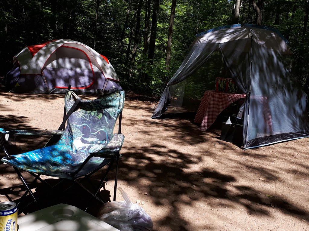 Loons Call Campground | 1177 Marble Lake Rd, Cloyne, ON K0H 1K0, Canada | Phone: (613) 336-2625