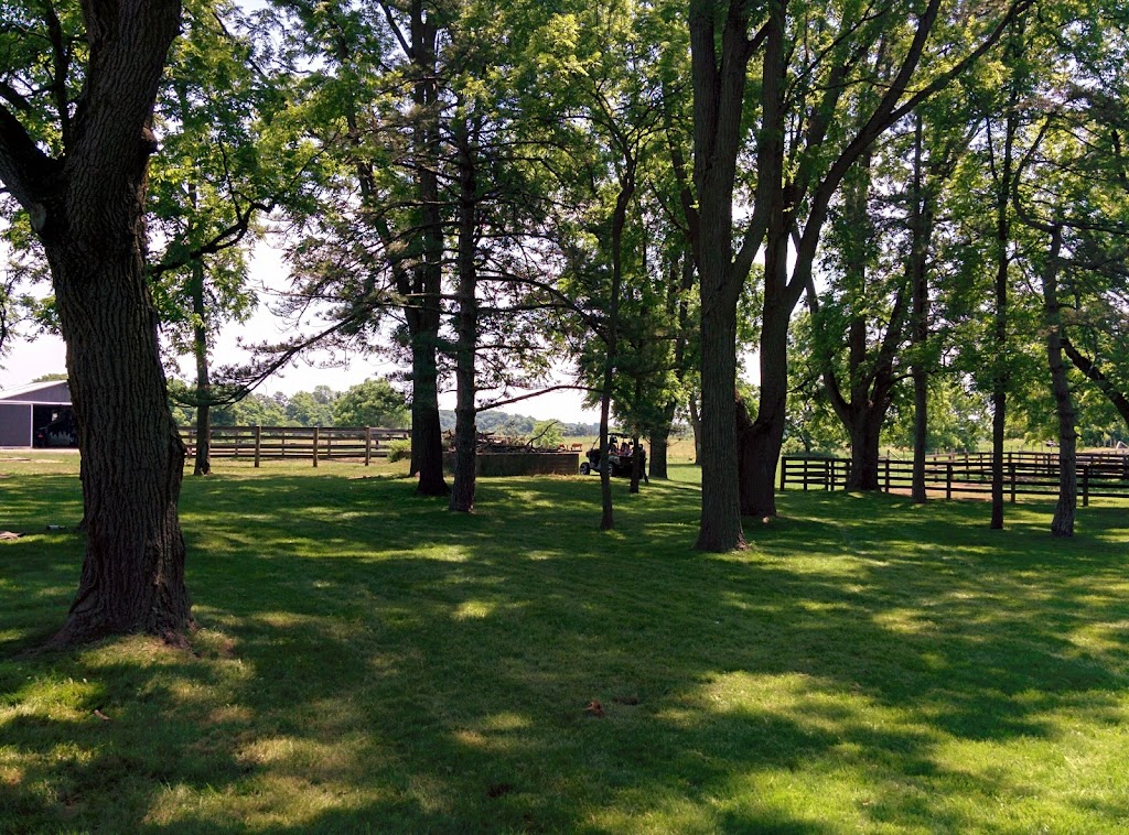 Pleasant Creek Stables | 2438 Hwy 5 W, Troy, ON L0R 2B0, Canada | Phone: (519) 732-3020