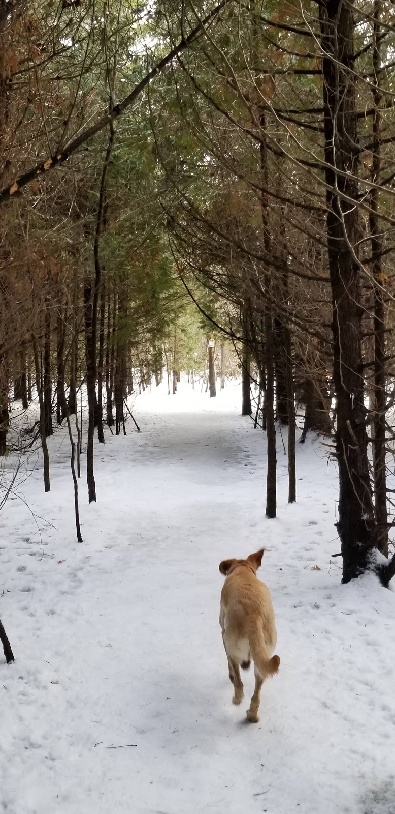 Stittsville Dog Park | Trans Canada Trail, Stittsville, ON K2S 0G8, Canada