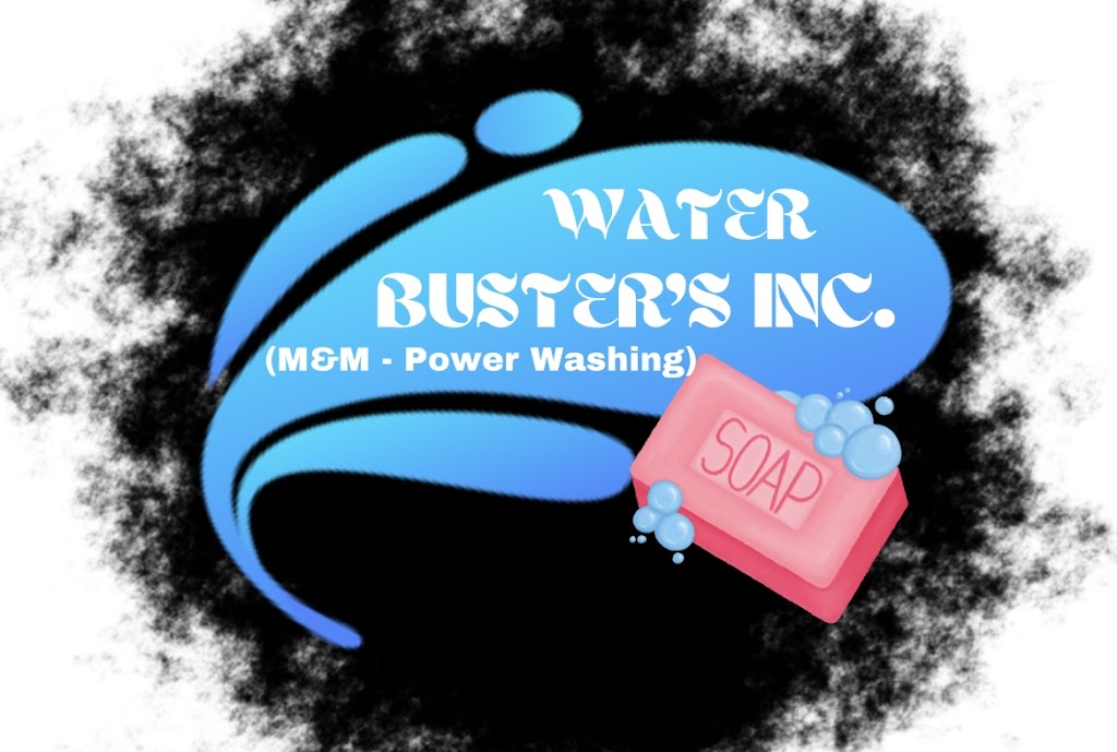 water busterz | 5 Tynemouth Dr, London, ON N5V 4V4, Canada | Phone: (548) 888-2169