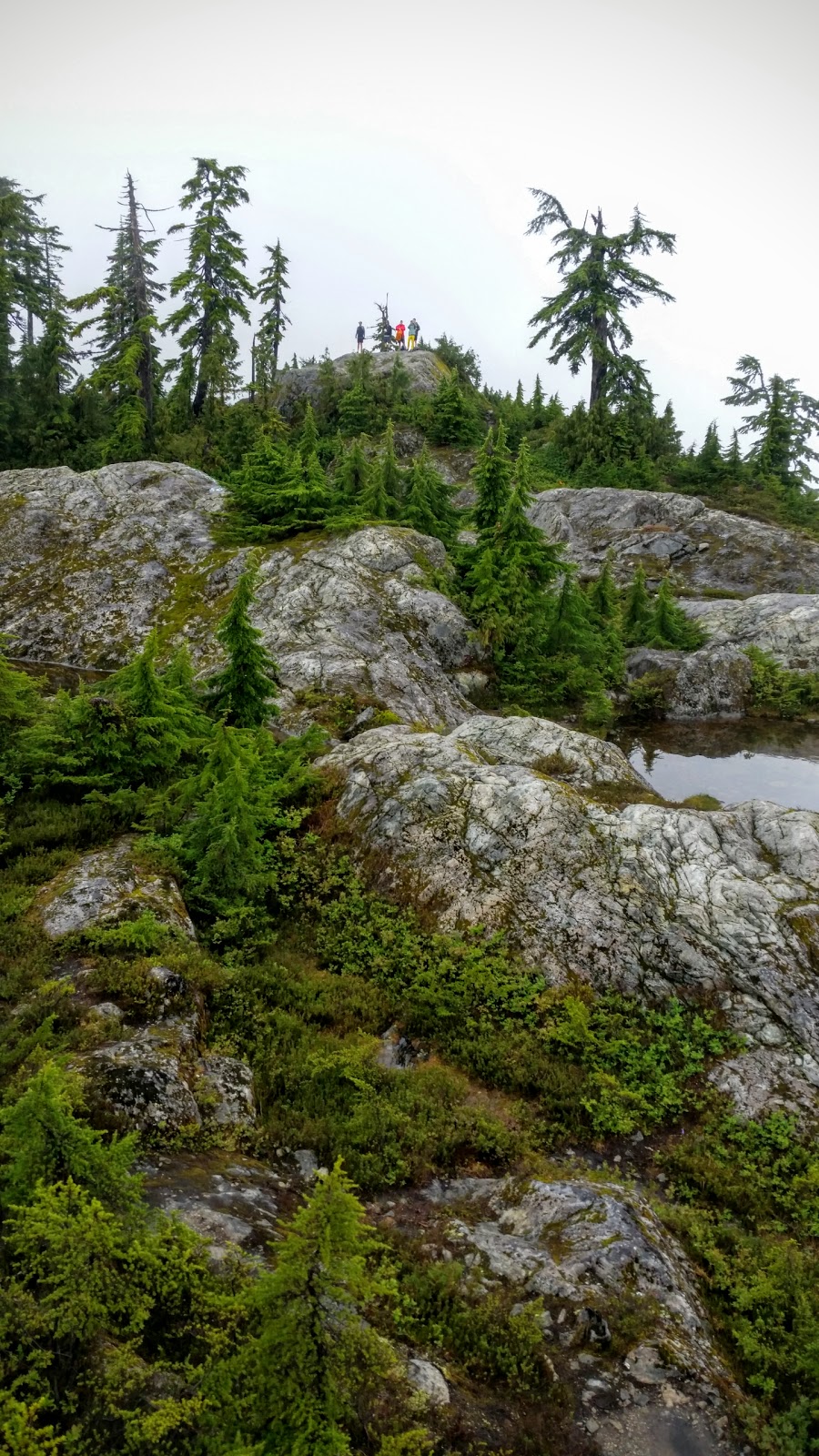 Thunderbird Ridge | North Vancouver, BC V7K 1X8, Canada