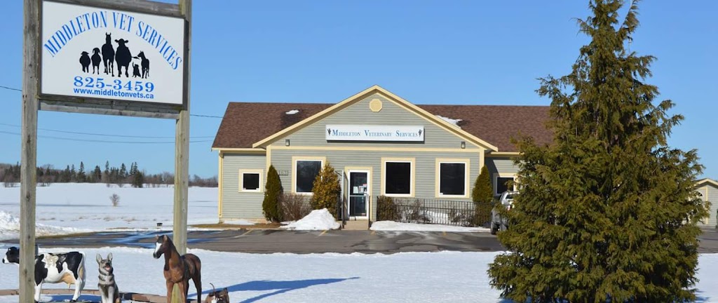 Middleton Veterinary Svc | 1163 Brooklyn Rd, Middleton, NS B0S 1P0, Canada | Phone: (902) 825-3459