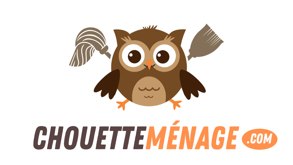 Chouette-Ménage MS inc. | 1236 Rue des Eskers, Québec, QC G3K 2J2, Canada | Phone: (418) 440-9137