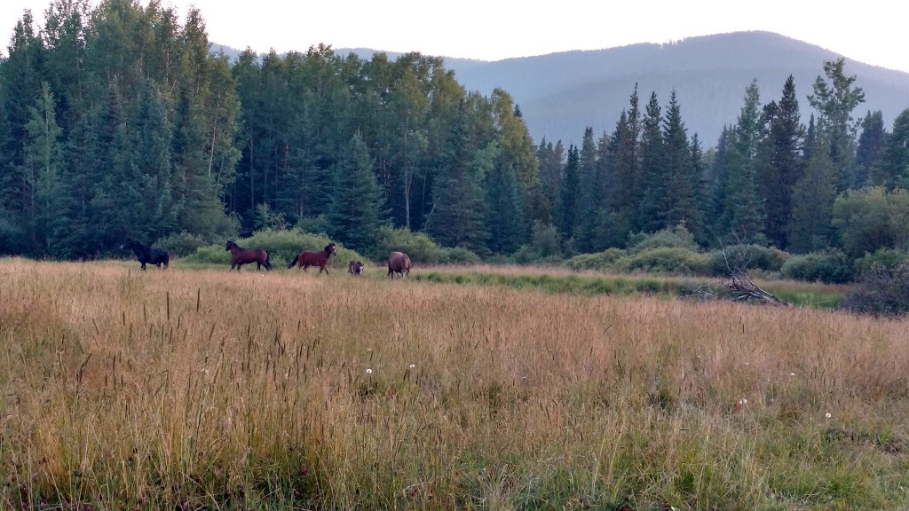 Girl Guides of Canada Camp Mockingbird | Waiparous Valley Rd, Bighorn No. 8, AB T0L, Canada | Phone: (403) 283-8348