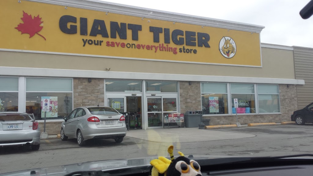 Giant Tiger | 936 Edward St N, Prescott, ON K0E 1T0, Canada | Phone: (613) 925-4615