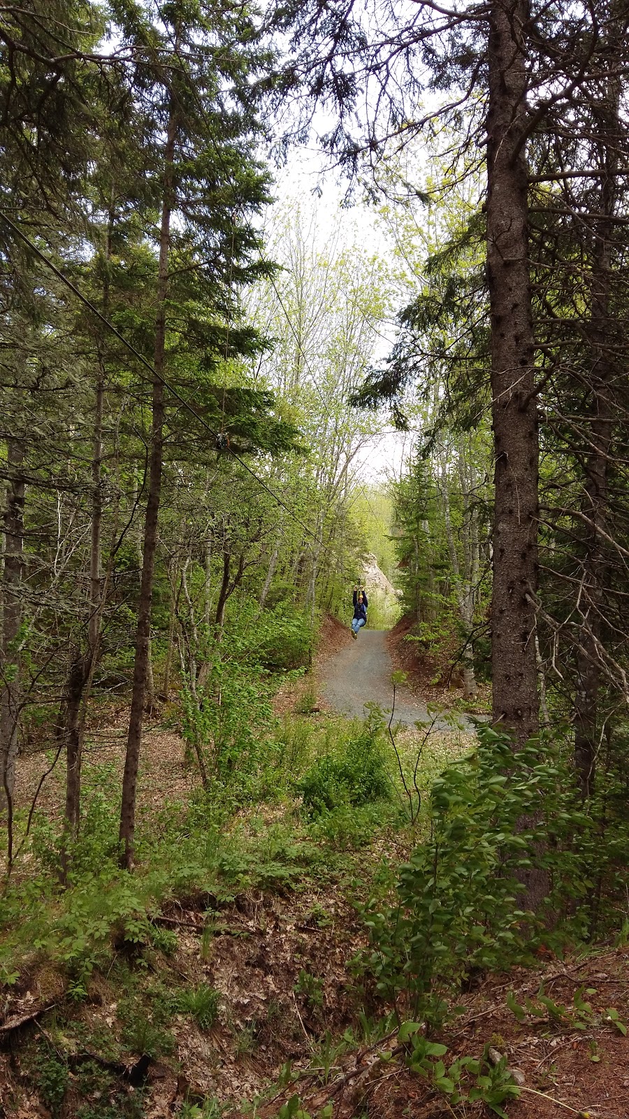 Shubenacadie River Adventure Tours | 10061 NS-215, South Maitland, NS B0N 2H0, Canada | Phone: (888) 878-8687