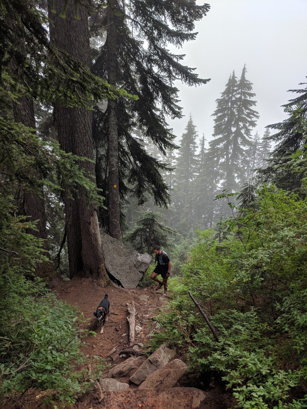 Goat Ridge Route | Goat Ridge Rte, North Vancouver, BC V7K 1X8, Canada