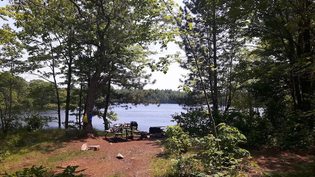 Little Turtle Lake | Coon Lake Rd, Harcourt, ON K0L 3E0, Canada | Phone: (613) 332-3940