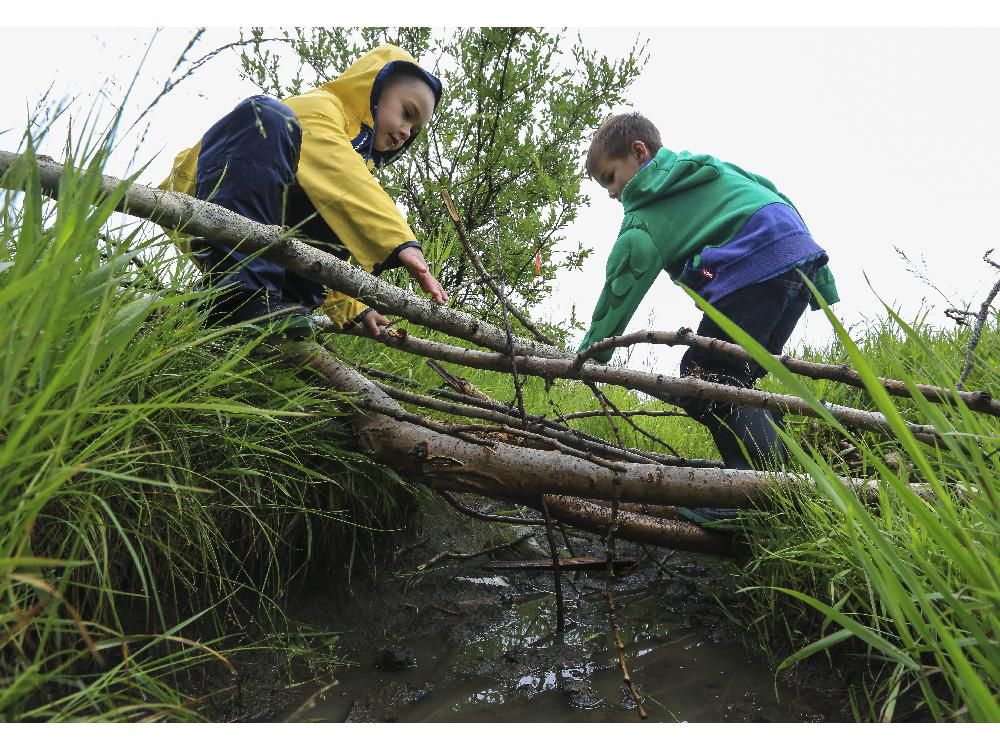 Calgary Nature Kindergarten Rosemont/Confederation Park | 2807 10 St NW, Calgary, AB T2K 1H2, Canada | Phone: (587) 576-8733