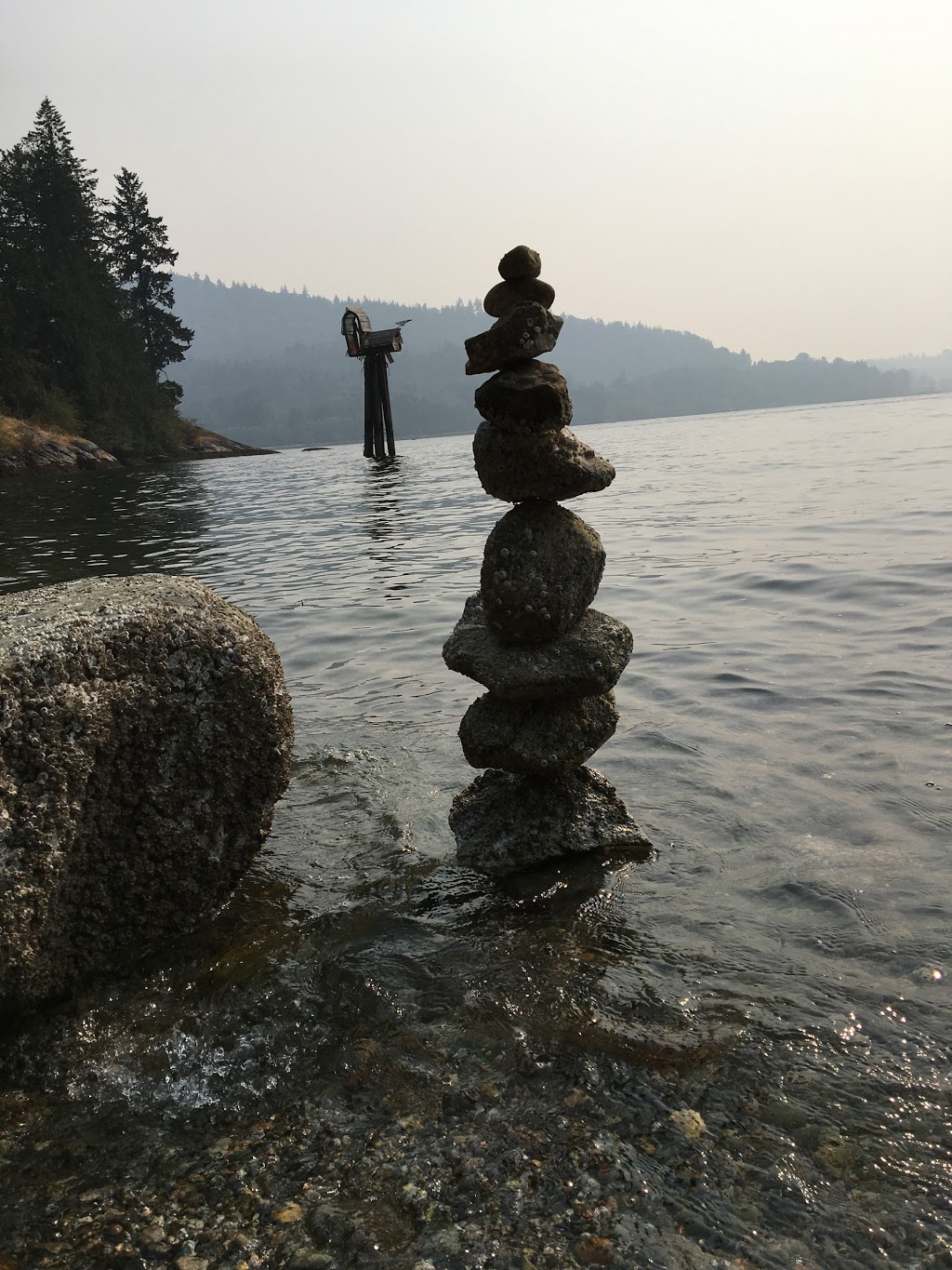 Maple Beach | Burrard Inlet, British Columbia, Port Moody, BC V3H 4P6, Canada