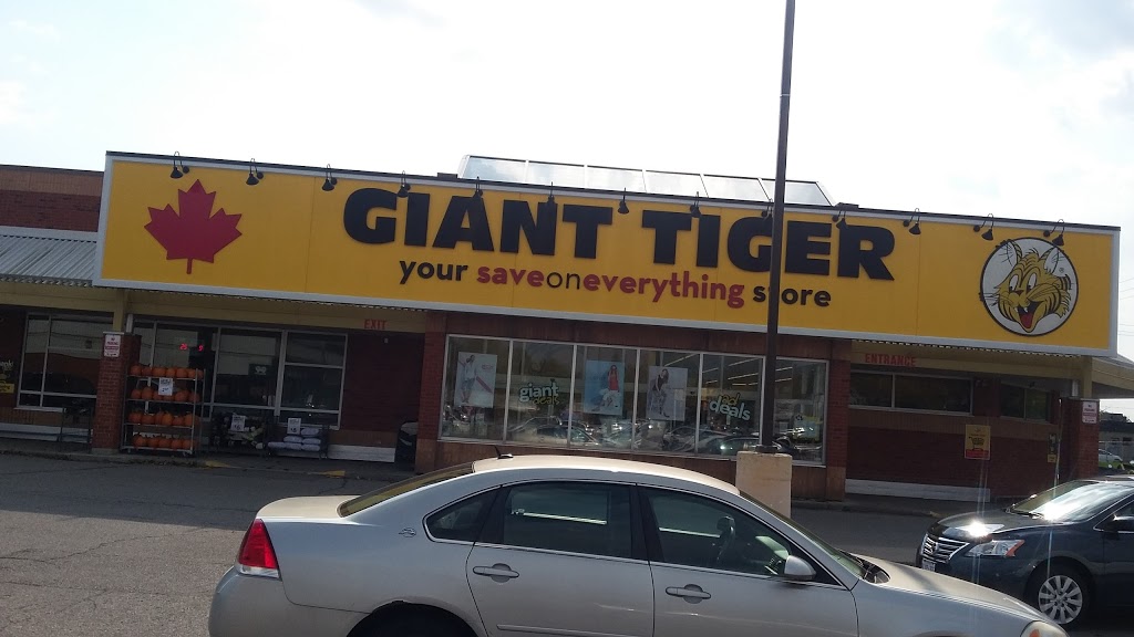 Giant Tiger | 930 Dundas St, Woodstock, ON N4S 8X6, Canada | Phone: (519) 539-8701