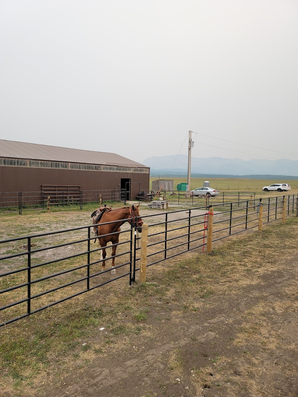 Waterton River Trail Rides Ltd. | SE 1/4 27-2-29 W4, Waterton Park, AB T0K 2M0, Canada | Phone: (403) 715-4156