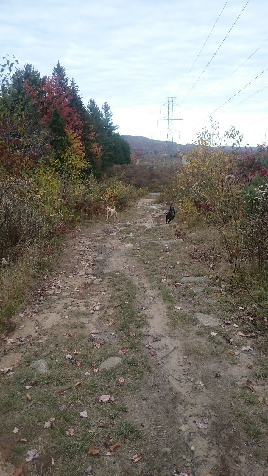 Parc Courcival | Rue Courcival, Québec, QC G1C 7H8, Canada