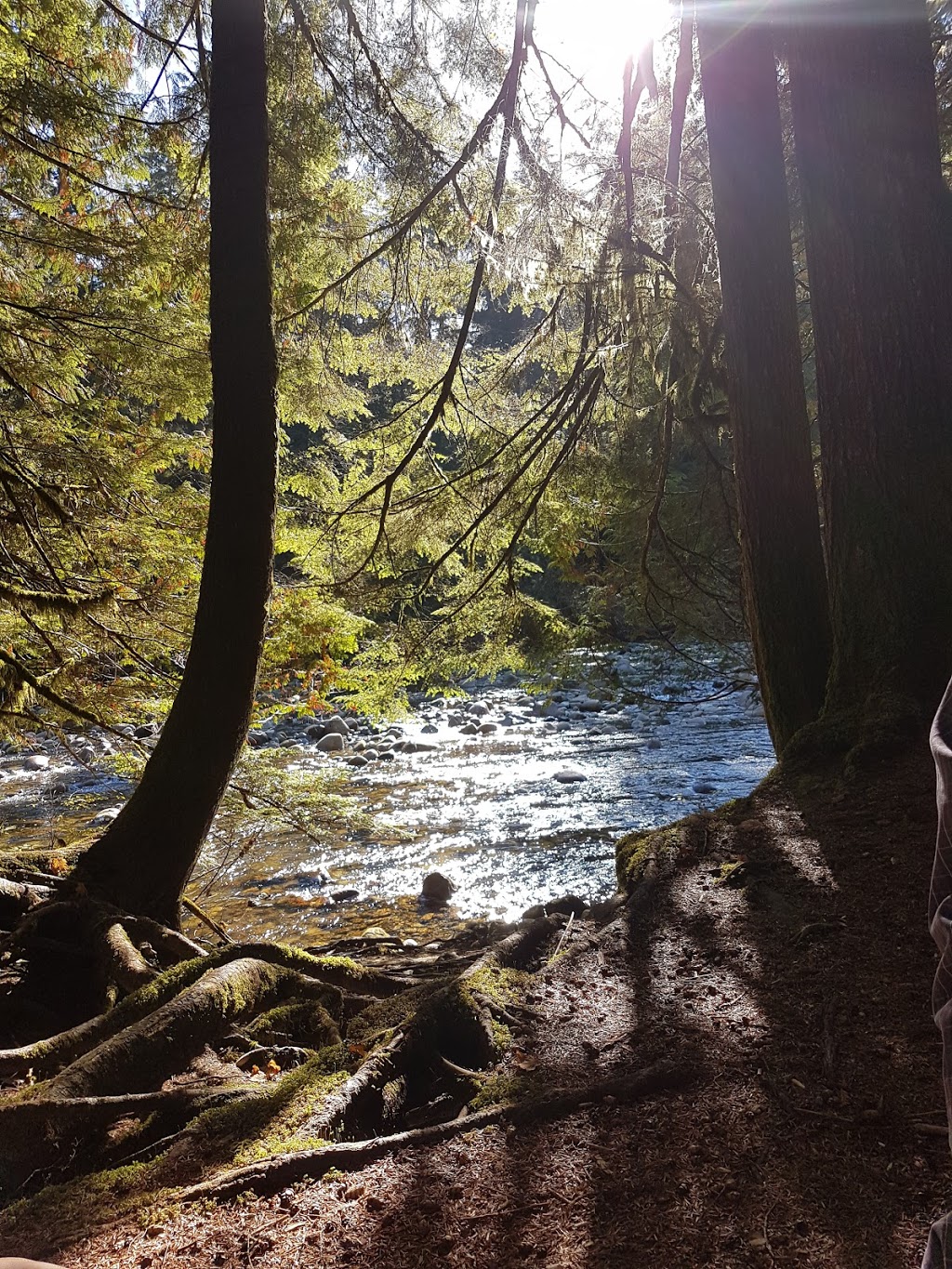 Fishermans trail | Spur 4, North Vancouver, BC V7J, Canada