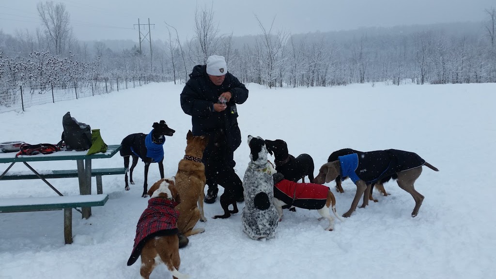 Rockland Dog Park | Poupart Rd, Rockland, ON K4K 1K9, Canada | Phone: (613) 487-3412