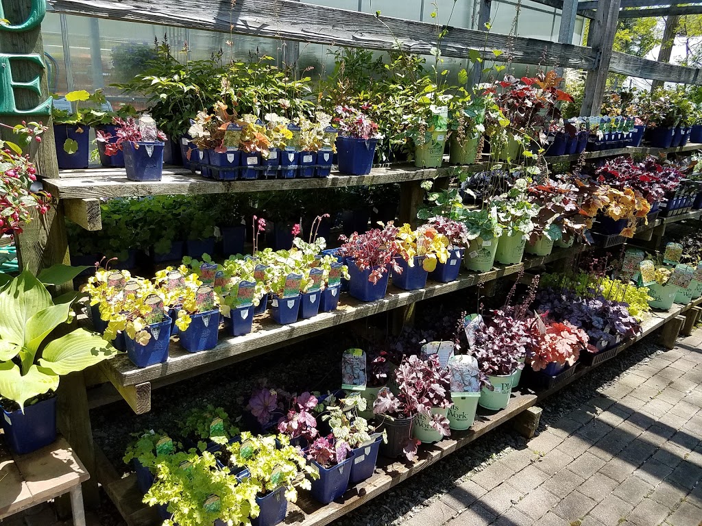 Mastersons Garden Center, Inc. | 725 Olean Rd #9781, East Aurora, NY 14052, USA | Phone: (716) 655-0133