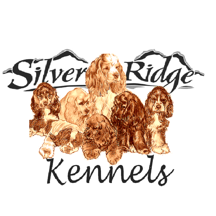 Silver Ridge Kennels | #6 Silver Ridge Road Hwy 11a west, Rocky Mountain House, AB T4T 1A0, Canada | Phone: (403) 846-8723