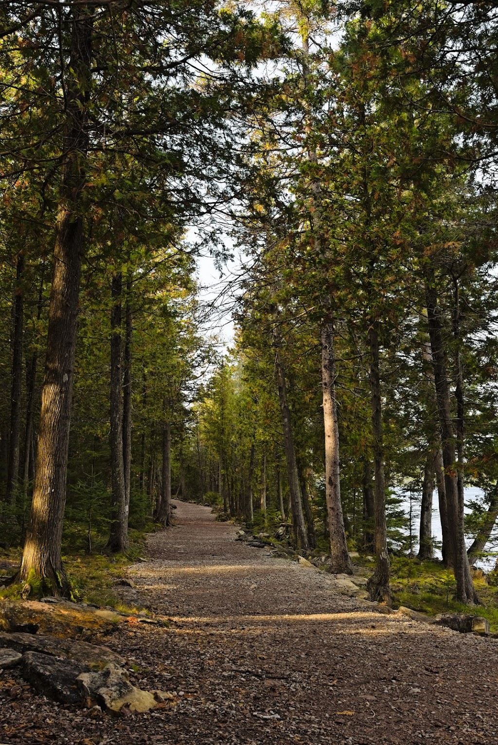 Birches Campsites- Bruce Peninsula National Park | 469 Cyprus Lake Rd, Tobermory, ON N0H 2R0, Canada | Phone: (519) 826-5391