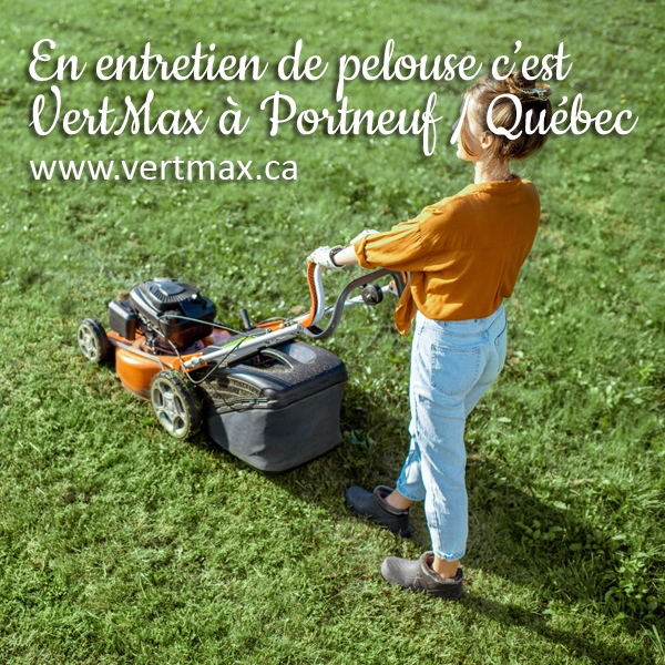 VertMax | 160 Boul Notre Dame, Pont-Rouge, QC G3H 3K7, Canada | Phone: (581) 993-8378