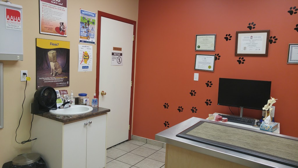 48th Avenue Animal Hospital | 5020 48 Ave, Delta, BC V4K 1V8, Canada | Phone: (604) 946-7779