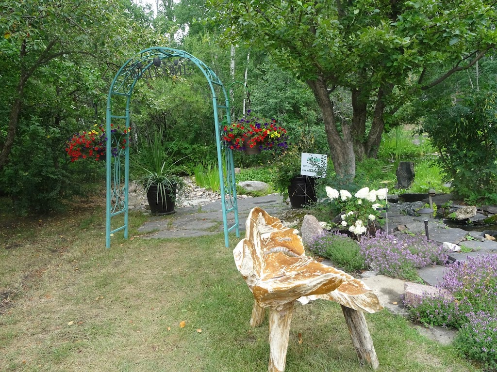 Aqualine Aquatic Plants & Waterfeatures | 23211 Township Rd 514, Sherwood Park, AB T8B 1L1, Canada | Phone: (780) 467-3450