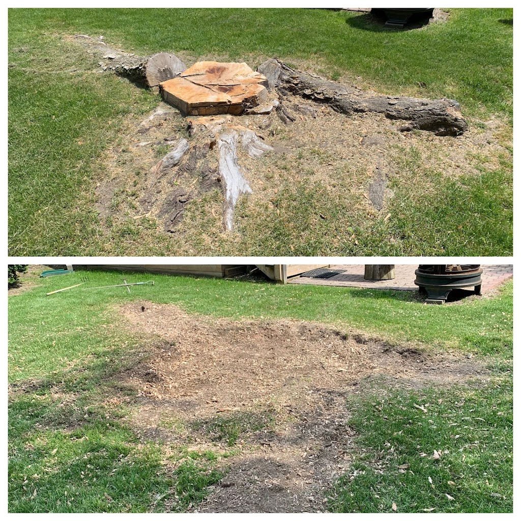 Stump King (Stump Removal Specialist) | 3381 Vernon Powell Dr, Oakville, ON L6H 0Y3, Canada | Phone: (416) 518-3152