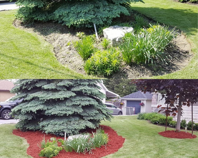 4evergreen landscaping services | 5 Harding Ave, North York, ON M6M 0A3, Canada | Phone: (416) 844-6524