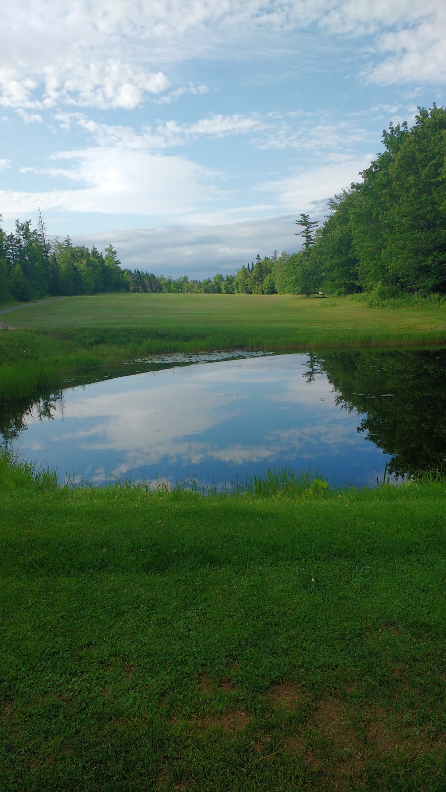 Airlane Golf Club | 2103 Old Guysborough Rd, Goffs, NS B2T 1B9, Canada | Phone: (902) 873-4040