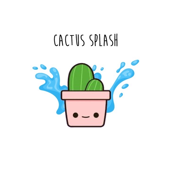 Cactus Splash | 4082 Rue André Riel, Québec, QC G1Y 3T9, Canada | Phone: (418) 446-2788