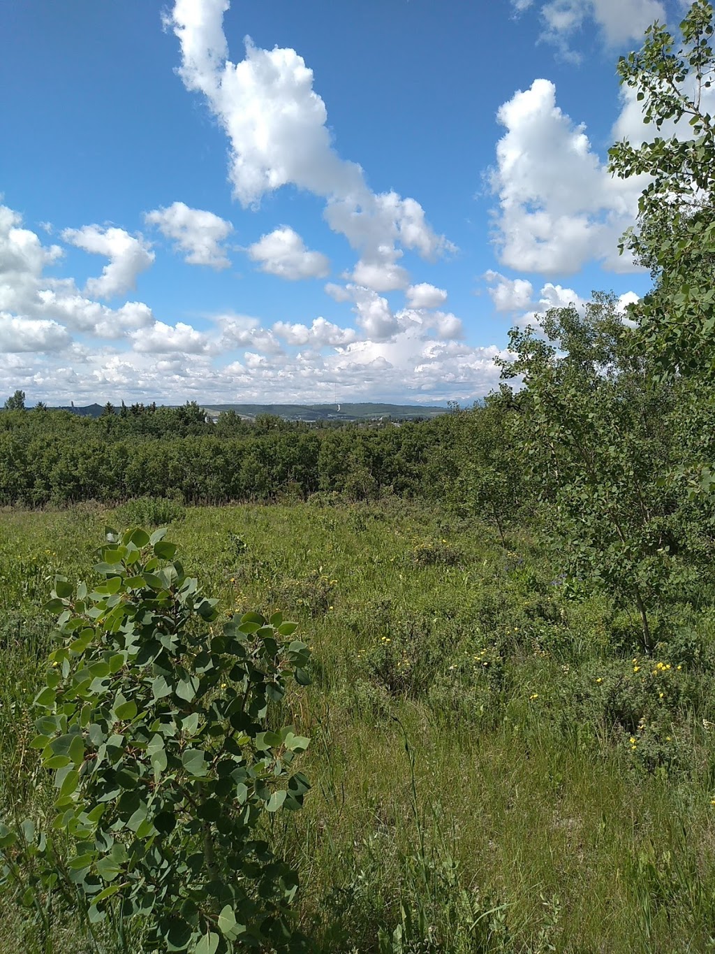 Off Leash Park | 188-200 Ranch Estates Dr NW, Calgary, AB T3G 1K6, Canada