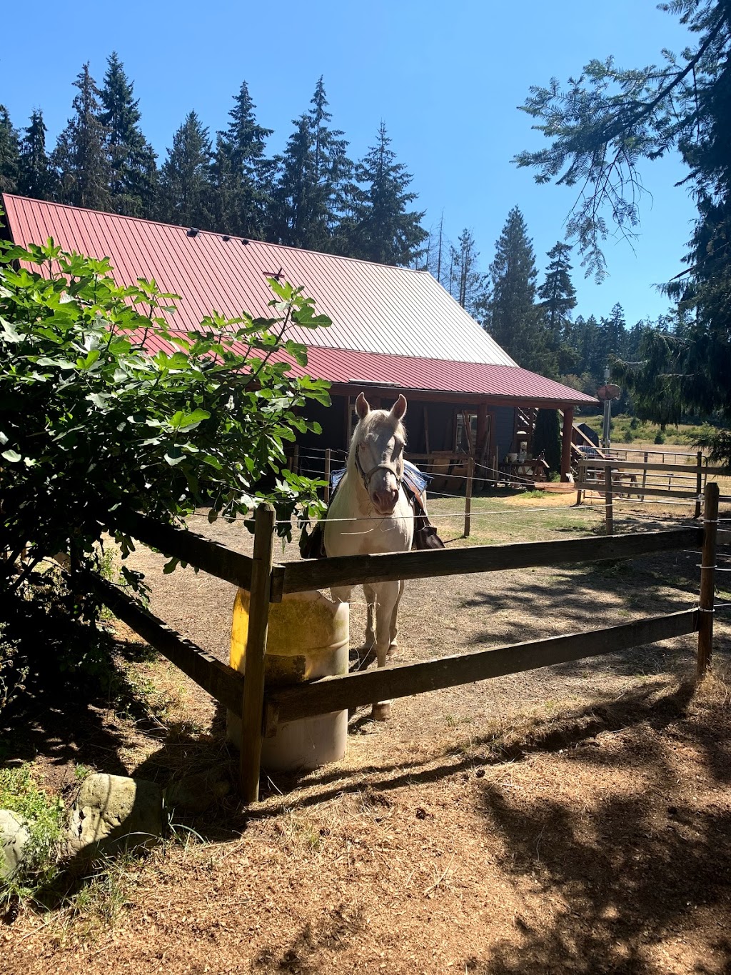 Paradise Acres Ranch | 1085 Paradise Pl, Nanoose Bay, BC V9P 9A4, Canada | Phone: (250) 248-6125