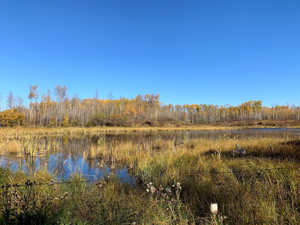 Ministik Lake Game Bird Sanctuary | Unnamed Road, Hay Lakes, AB T0B 1W0, Canada | Phone: (780) 464-7955