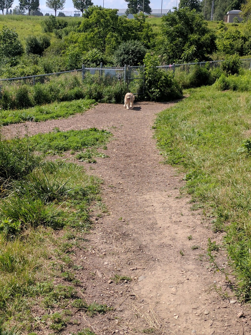 Bechtel Dog Park | 59 Bridge St W, Kitchener, ON N2K 1K6, Canada | Phone: (519) 576-2420