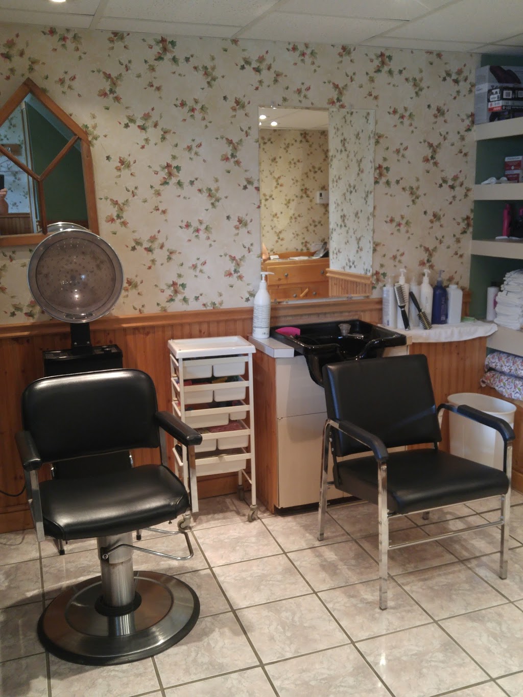 Salon Marie-France Enr | 583 Chemin Knowlton, Knowlton, QC J0E 1V0, Canada | Phone: (450) 243-6486