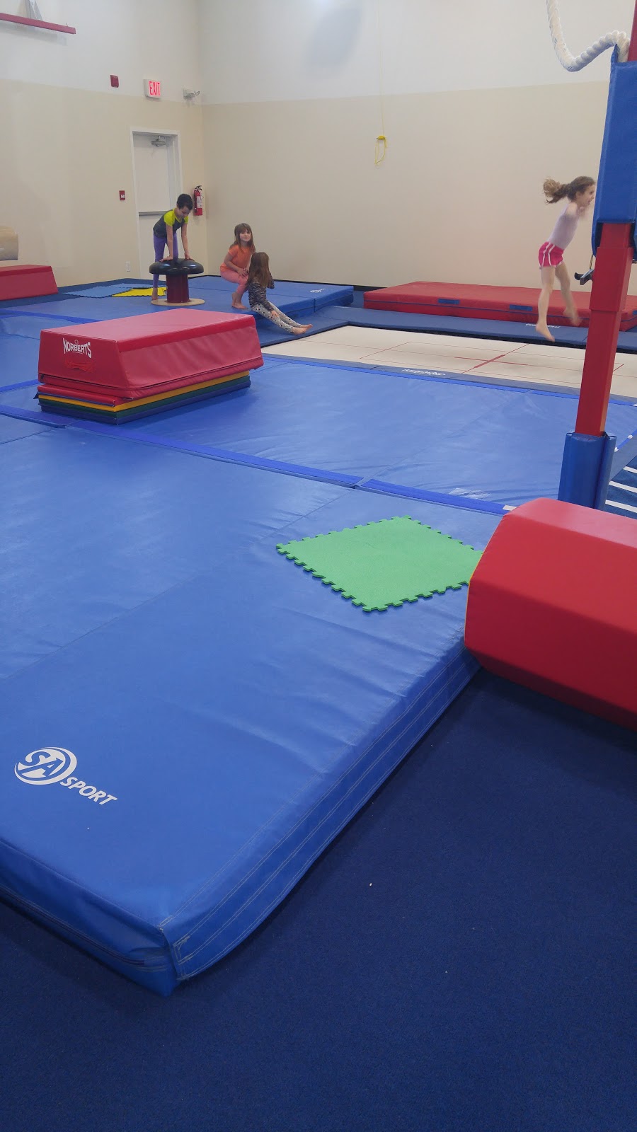 Victoria Gymnastics | 520 Mt View Ave, Victoria, BC V9B 2B1, Canada | Phone: (778) 265-6414