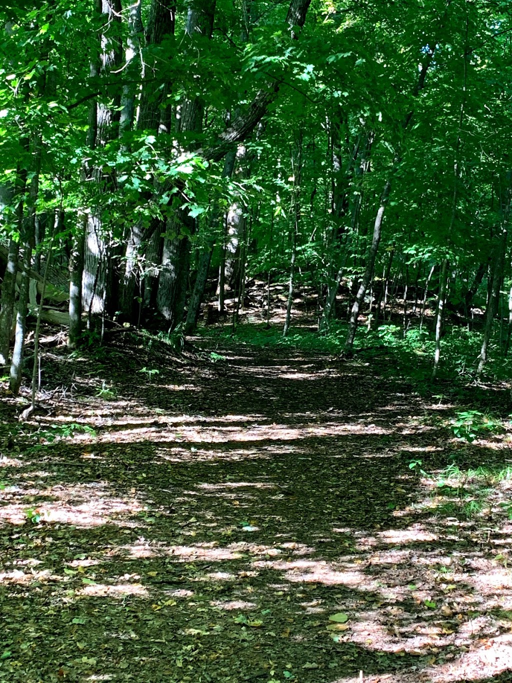 Silver Queen Trail Parking Lot | Tay Valley, ON K7H 3C7, Canada