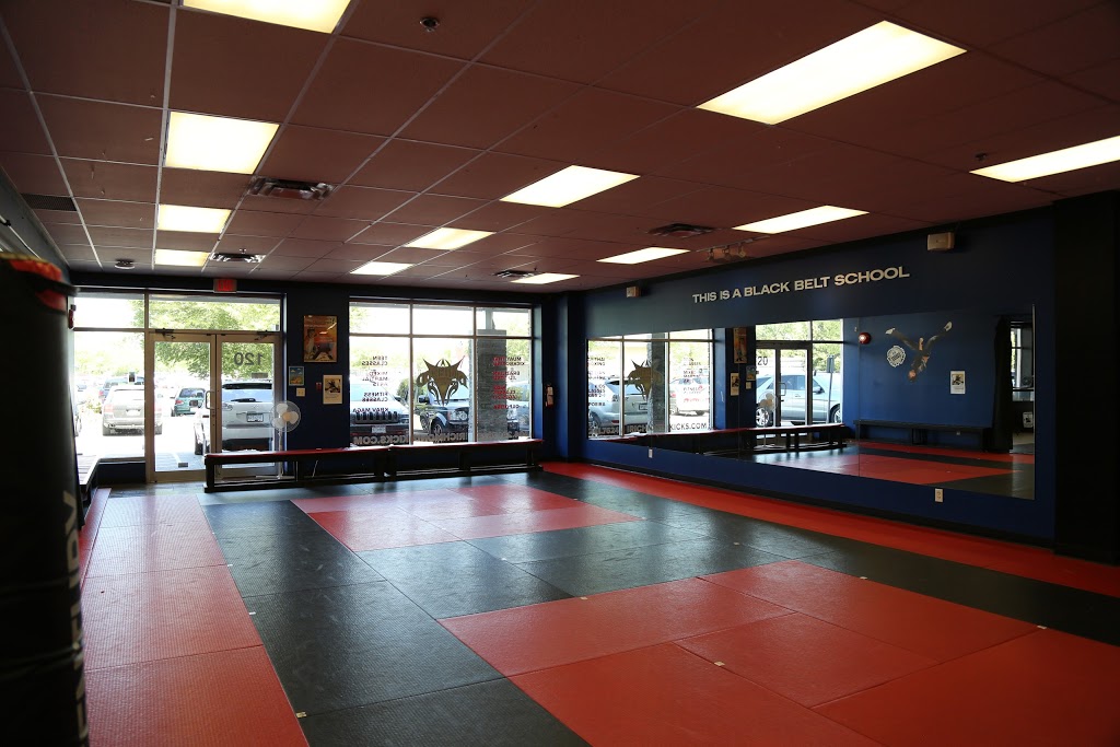 Richmond Martial Arts | 150-11780 Hammersmith Way, Richmond, BC V7A 5E9, Canada | Phone: (604) 241-7624