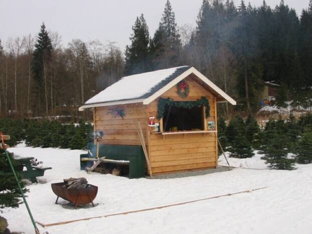 Alouette Tree Farm Ltd | 23083 132 Ave, Maple Ridge, BC V4R 0A8, Canada | Phone: (604) 467-0100